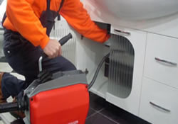 Koku Tespiti Koku Tespiti