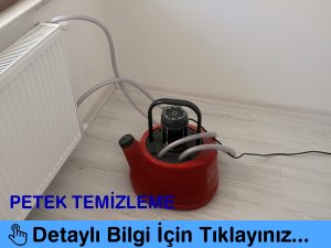tekirdağ petek temizliği